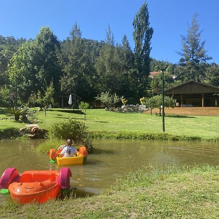 Вилла Quinta Da Vinha Do Souto Арока Экстерьер фото