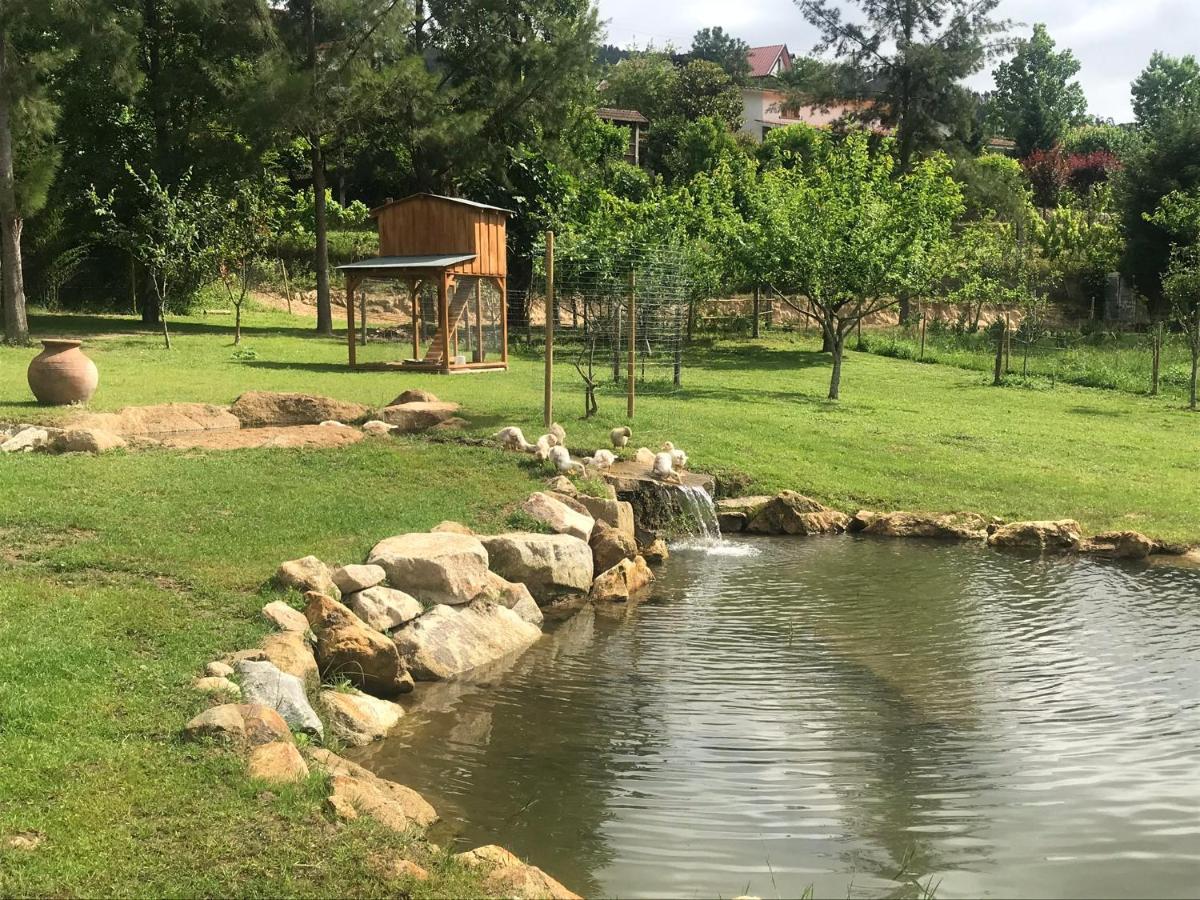 Вилла Quinta Da Vinha Do Souto Арока Экстерьер фото