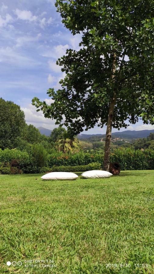 Вилла Quinta Da Vinha Do Souto Арока Экстерьер фото
